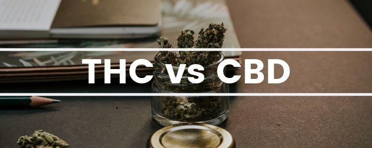 srovnání THC a CBD